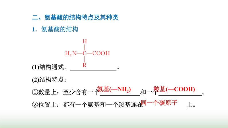 人教版高中生物必修1第2章组成细胞的分子第4节第1课时蛋白质的功能及其结构单位课件03