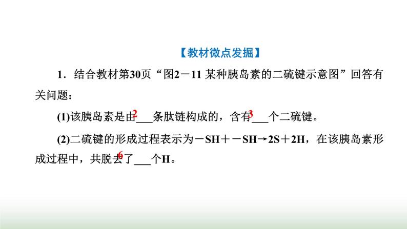 人教版高中生物必修1第2章组成细胞的分子第4节第2课时蛋白质的结构及其多样性课件06