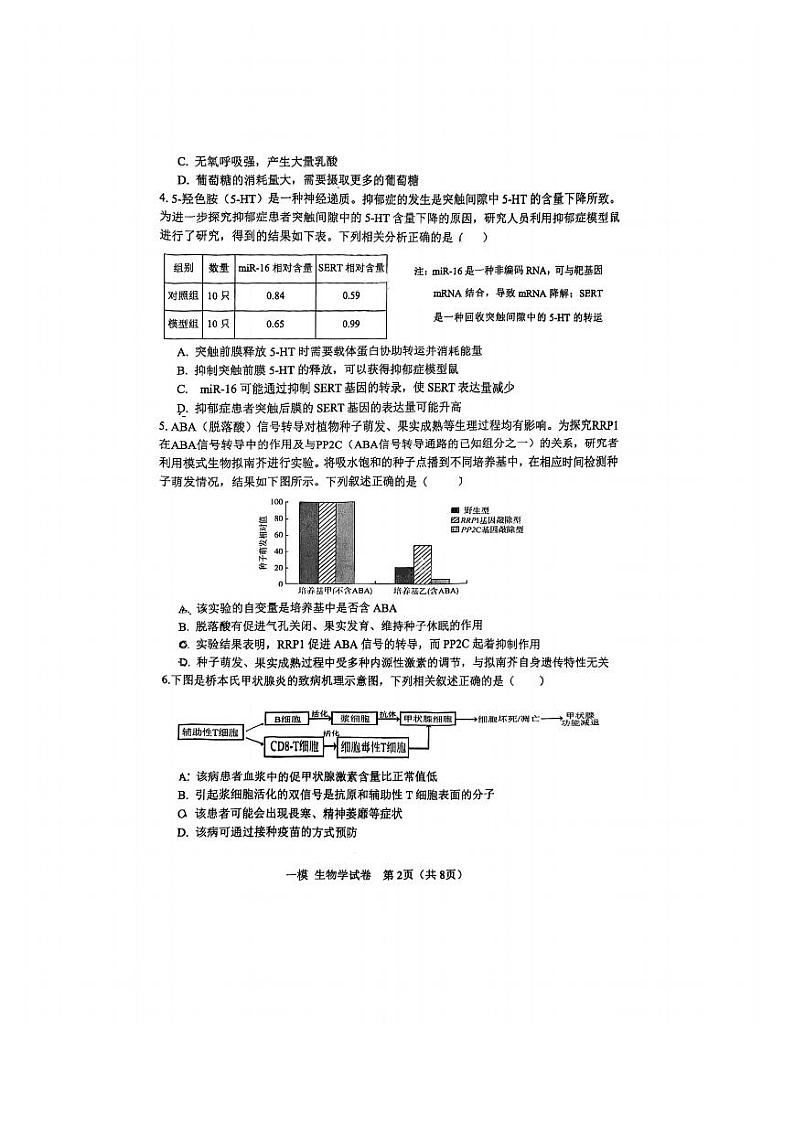 2024届天津市河东区高三下学期一模考试生物试题第2页