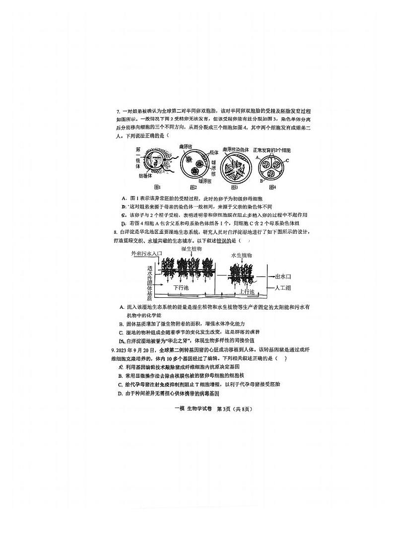 2024届天津市河东区高三下学期一模考试生物试题第3页