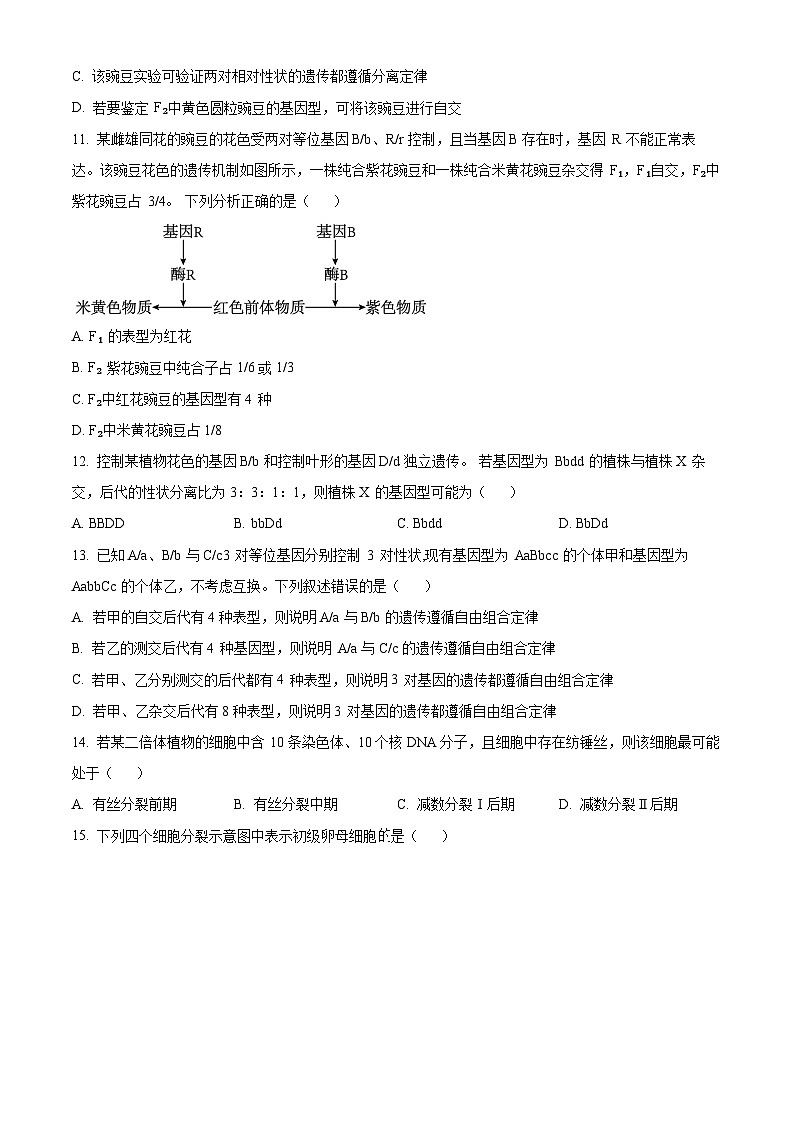 山西省临汾市2023-2024学年高一下学期3月月考试生物试题(原卷版+解析版)03