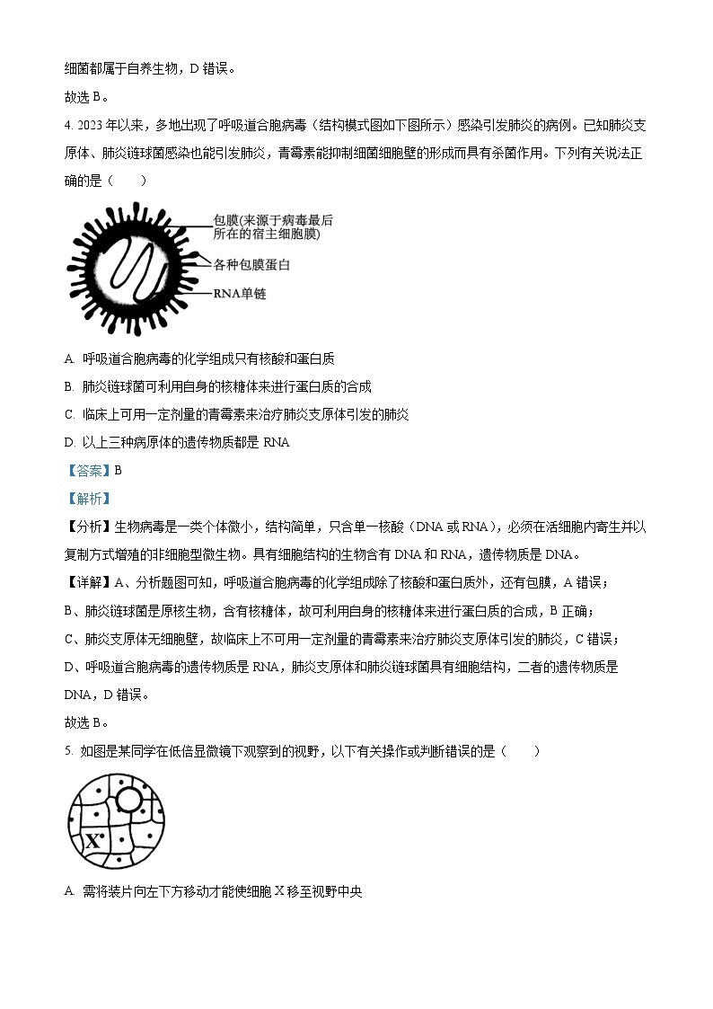 四川省成都市金牛区成都外国语学校2023-2024学年高二下学期3月月考生物试题（原卷版+解析版）03