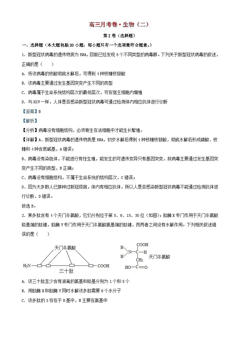 新疆生产建设兵团2022_2023学年高三生物上学期11月月考试题含解析第1页
