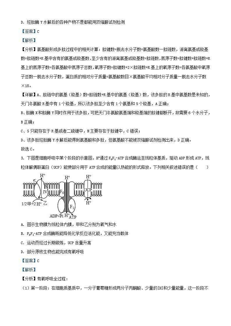 新疆生产建设兵团2022_2023学年高三生物上学期11月月考试题含解析第2页