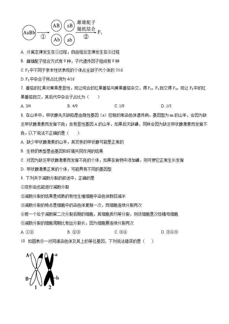 精品解析:河北省保定市唐县第一中学2023-2024学年高一下学期3月月考生物试题(原卷版)第2页