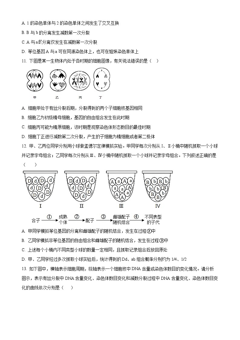 精品解析:河北省保定市唐县第一中学2023-2024学年高一下学期3月月考生物试题(原卷版)第3页