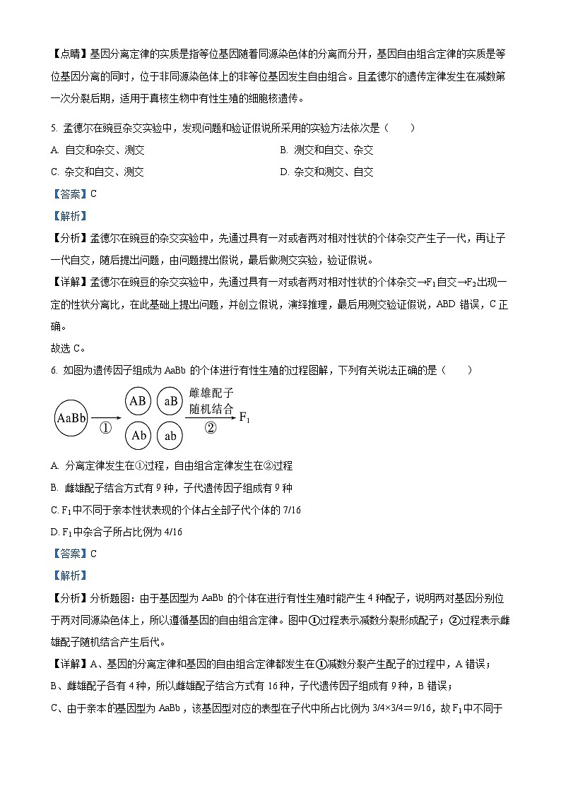 精品解析:河北省保定市唐县第一中学2023-2024学年高一下学期3月月考生物试题(解析版)第3页