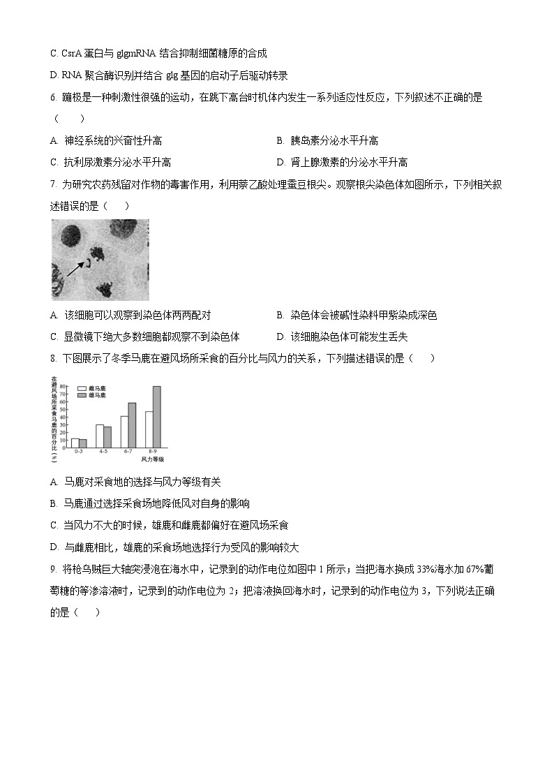 北京市延庆区2024届高三下学期3月一模试题 生物 Word版含解析03