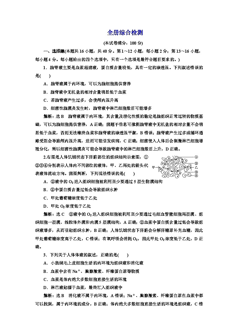 人教版高中生物选择性必修1全册综合检测含答案01