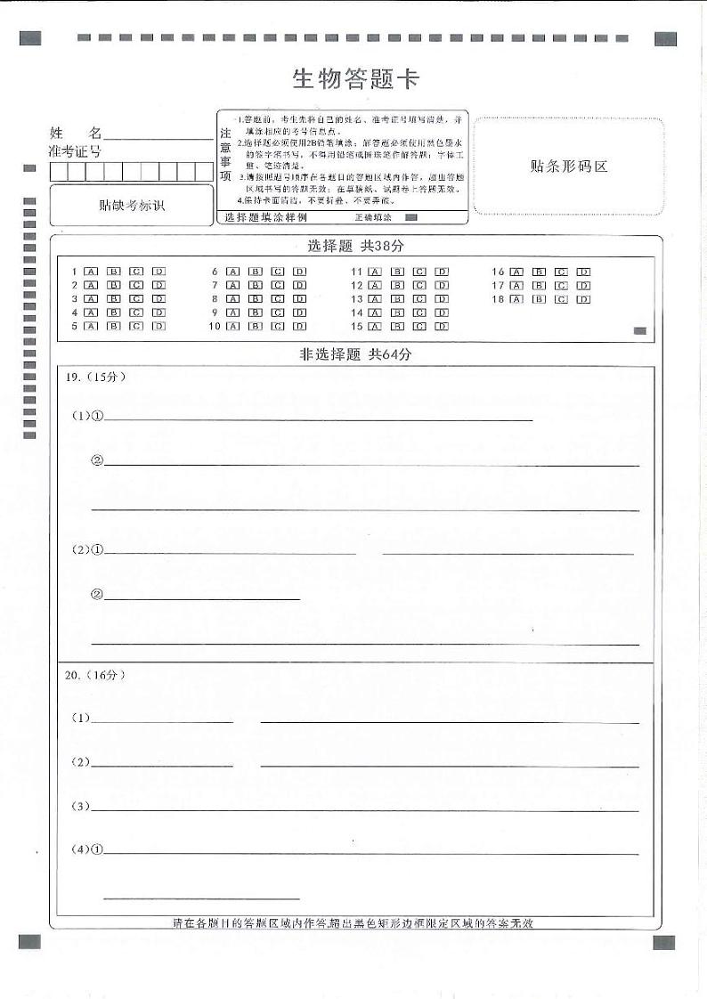 湖北省十一校2023-2024学年高三下学期第二次联考生物试卷Word版含答案答题卡01