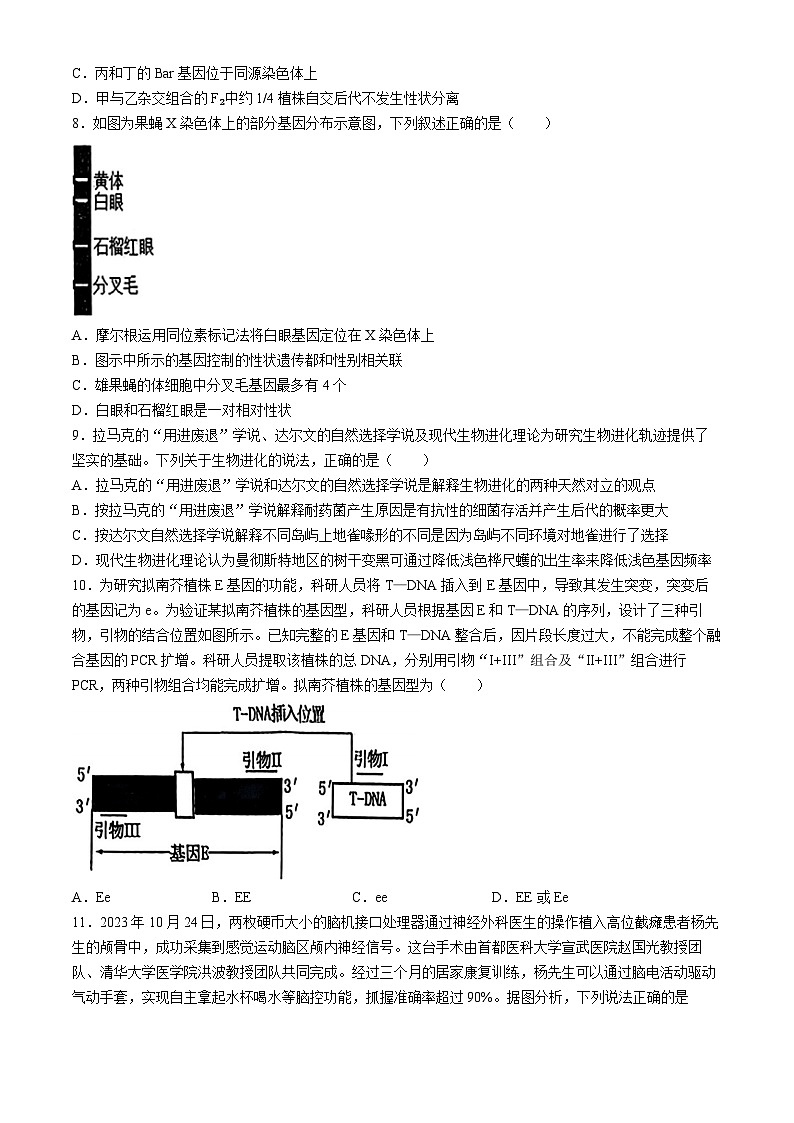 湖北省十一校2023-2024学年高三下学期第二次联考生物试卷Word版含答案答题卡03