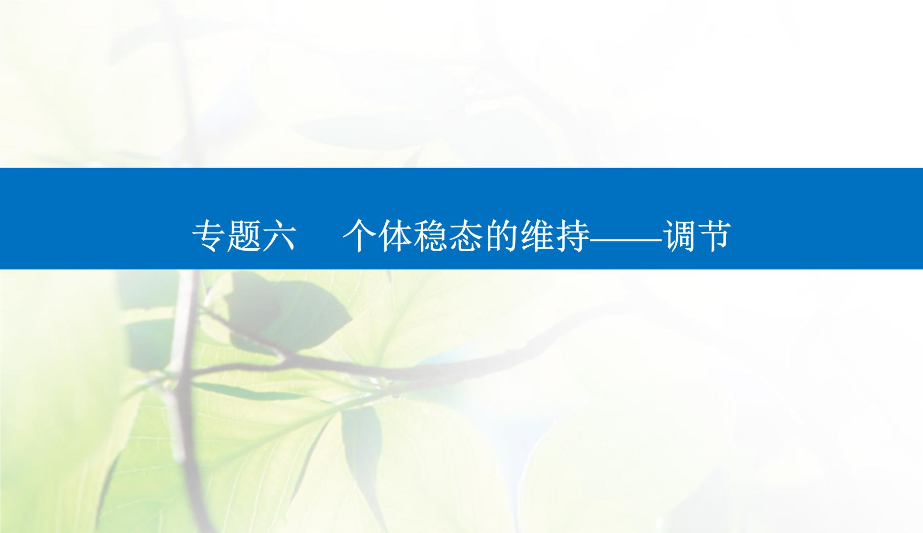 2024届高考生物二轮复习专题六个体稳态的维持——调节第10讲人和高等动物的神经调节和体液调节课件