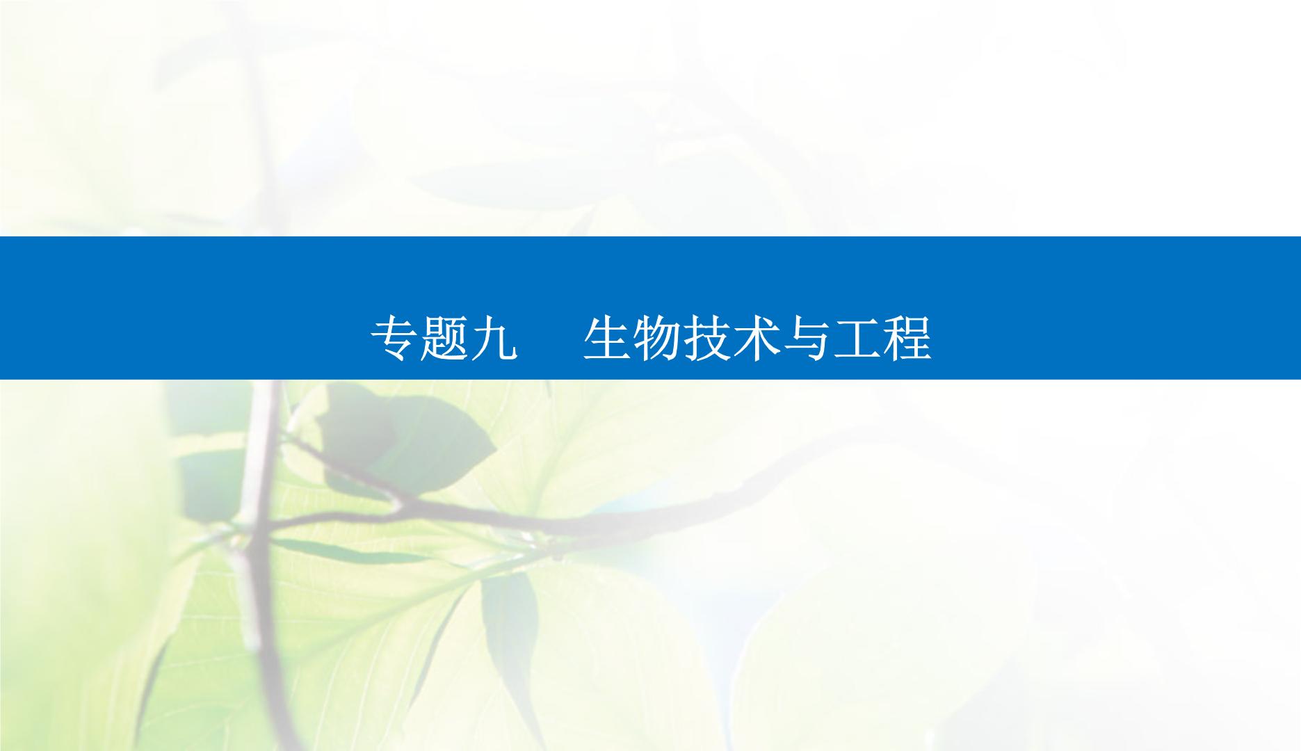 2024届高考生物二轮复习专题九生物技术与工程第16讲细胞工程及生物技术的安全性与伦理问题课件