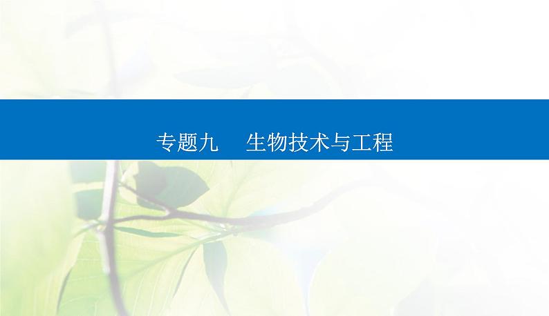 2024届高考生物二轮复习专题九生物技术与工程第16讲细胞工程及生物技术的安全性与伦理问题课件01