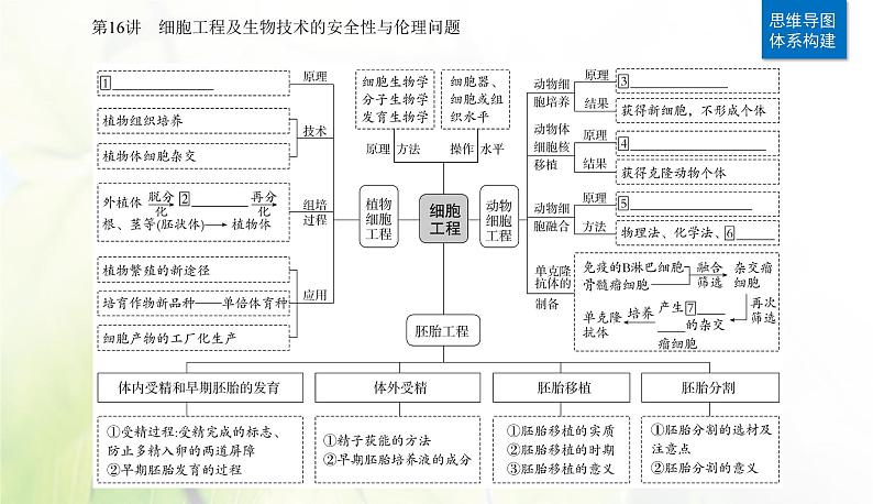 2024届高考生物二轮复习专题九生物技术与工程第16讲细胞工程及生物技术的安全性与伦理问题课件02