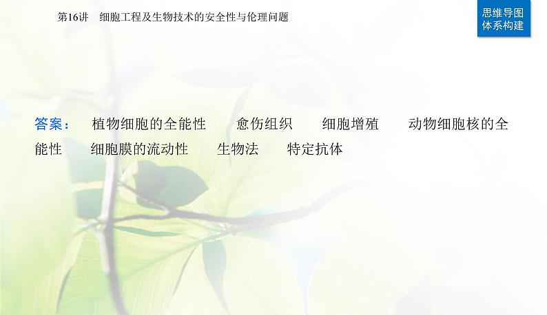2024届高考生物二轮复习专题九生物技术与工程第16讲细胞工程及生物技术的安全性与伦理问题课件03