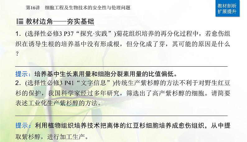 2024届高考生物二轮复习专题九生物技术与工程第16讲细胞工程及生物技术的安全性与伦理问题课件04