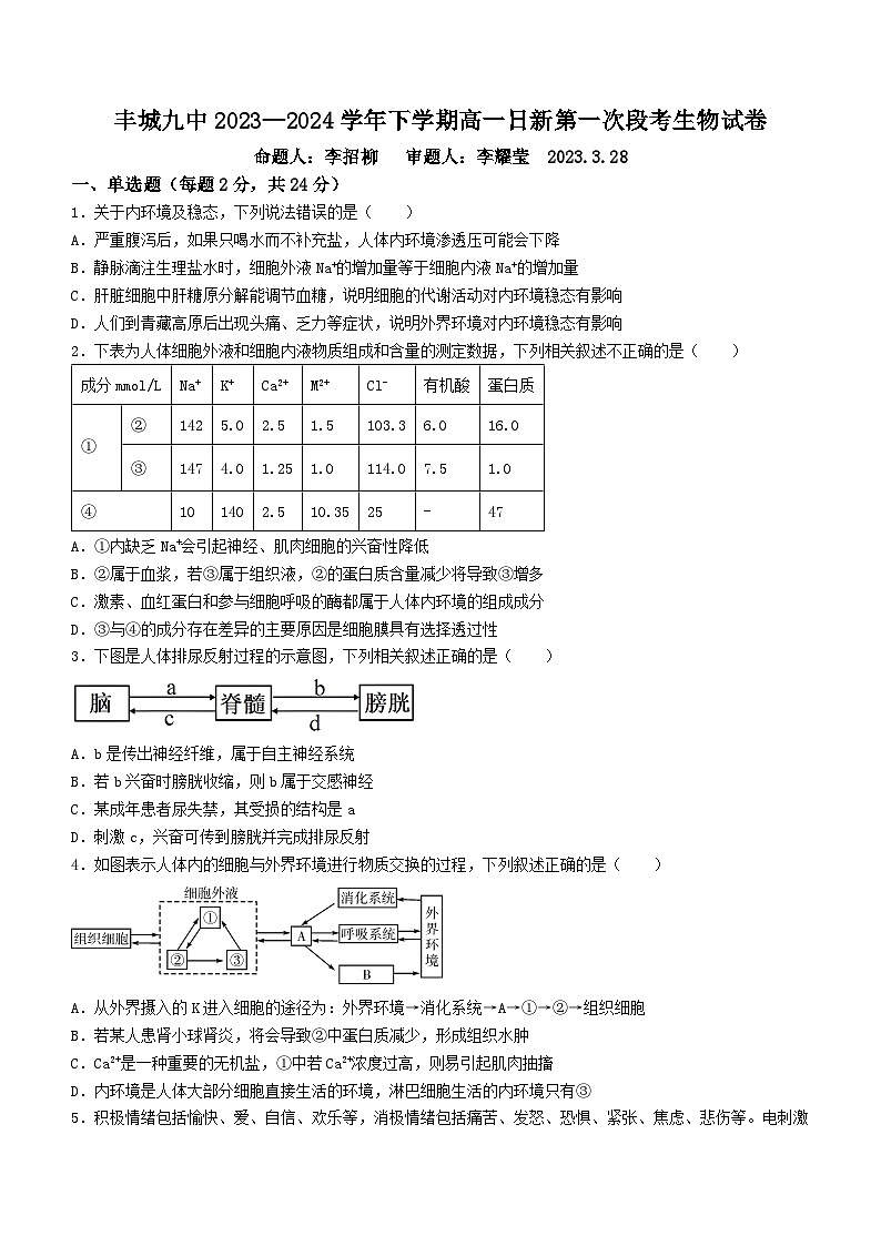江西省宜春市丰城市第九中学2023-2024学年高一下学期第一次月考生物试题(日新班)01