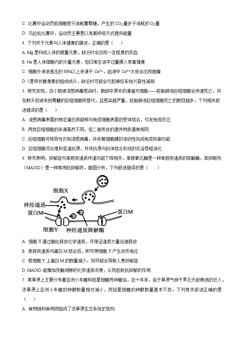 精品解析:2024届广西普通高中学业水平选择性考试高三下学期模拟考试生物试卷(原卷版)第2页