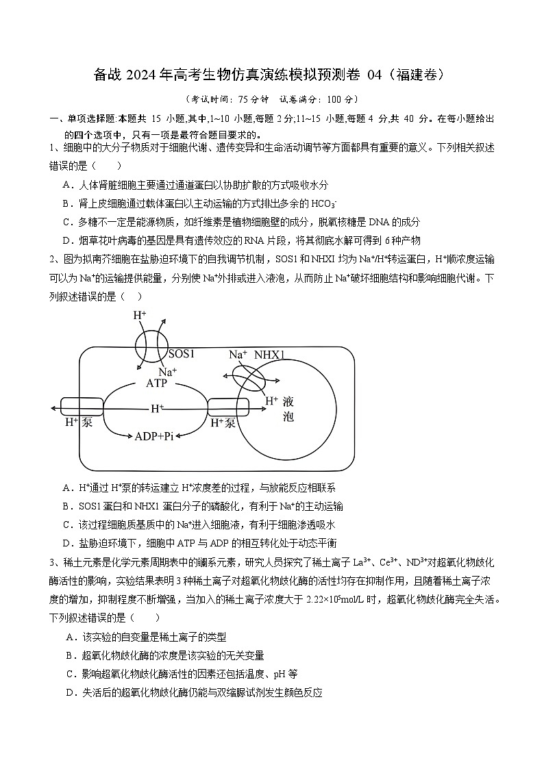 卷04-备战2024年高考生物仿真演练模拟预测卷(福建卷)(原卷版)第1页