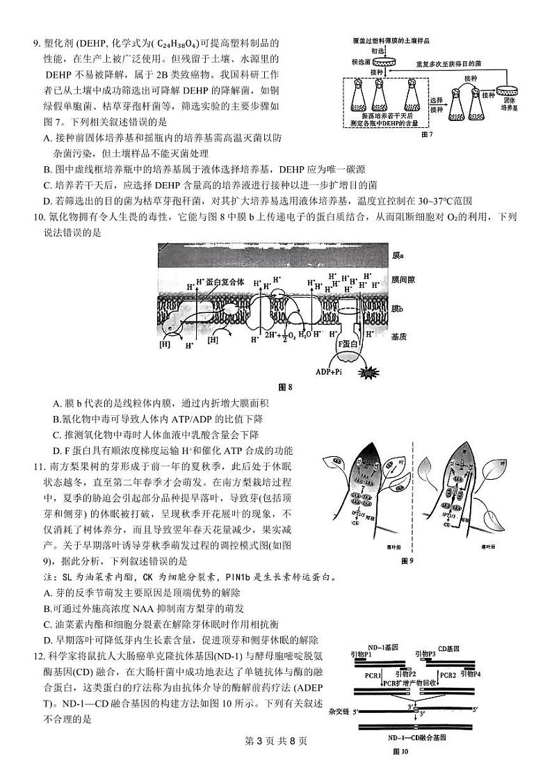 重庆市第八中学2024届高考适应性月考卷(六)生物试题第3页