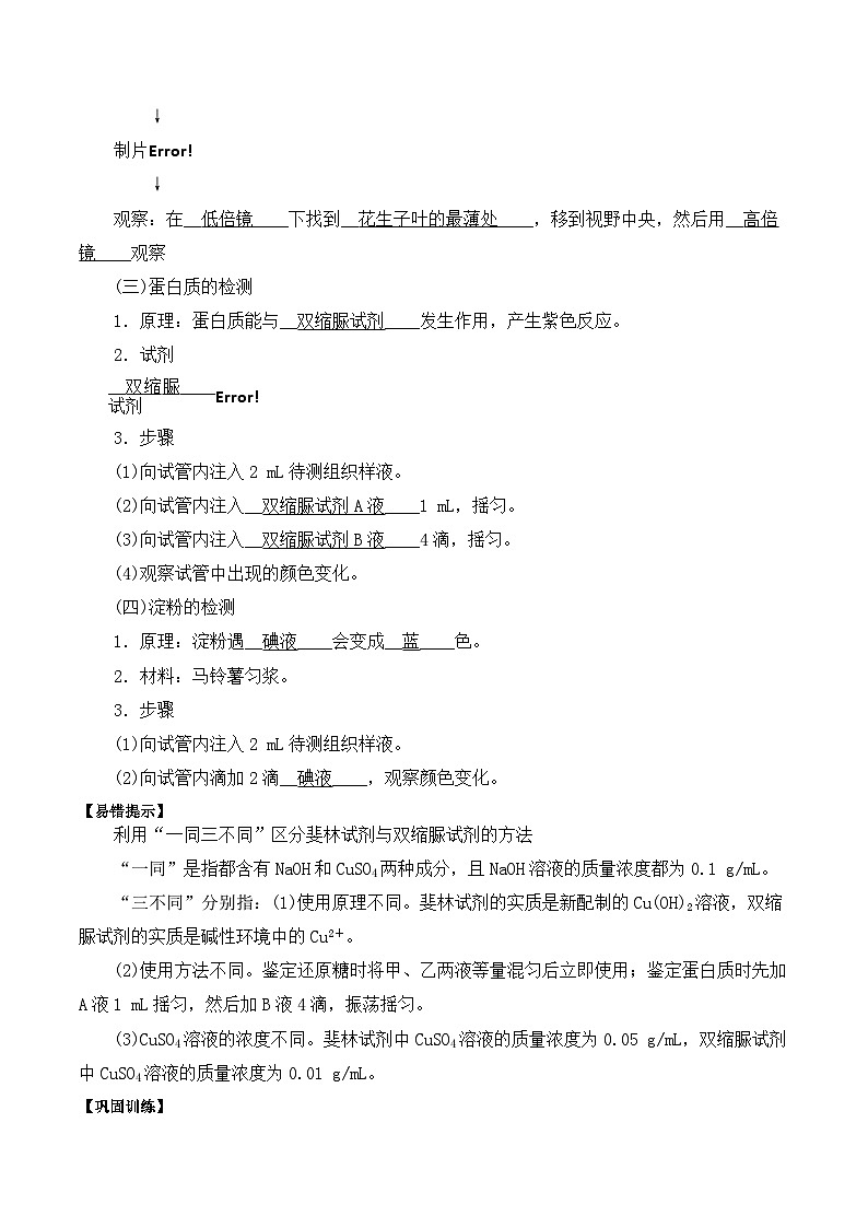 2.1细胞中的元素和化合物学案第3页