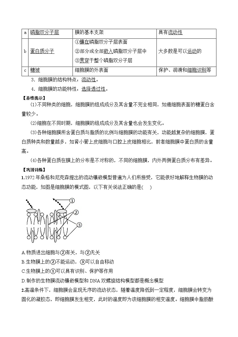 3.1细胞膜的结构和功能学案03