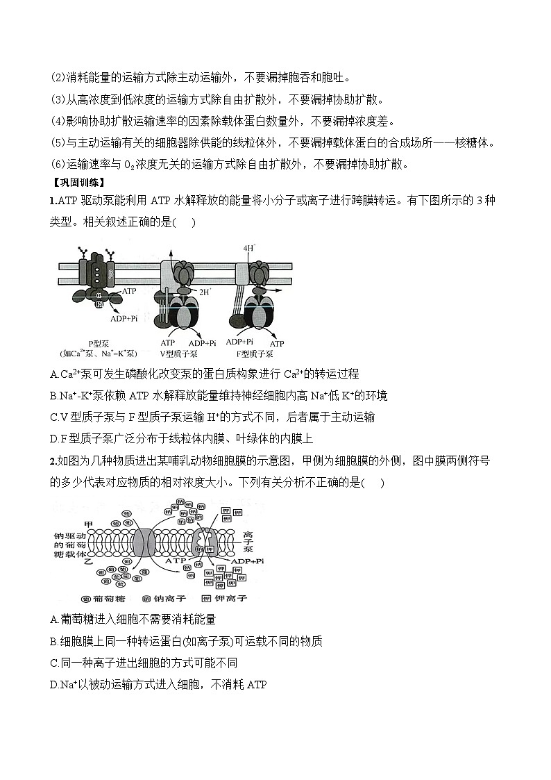 4.2主動(dòng)運(yùn)輸與胞吞、胞吐學(xué)案第3頁(yè)
