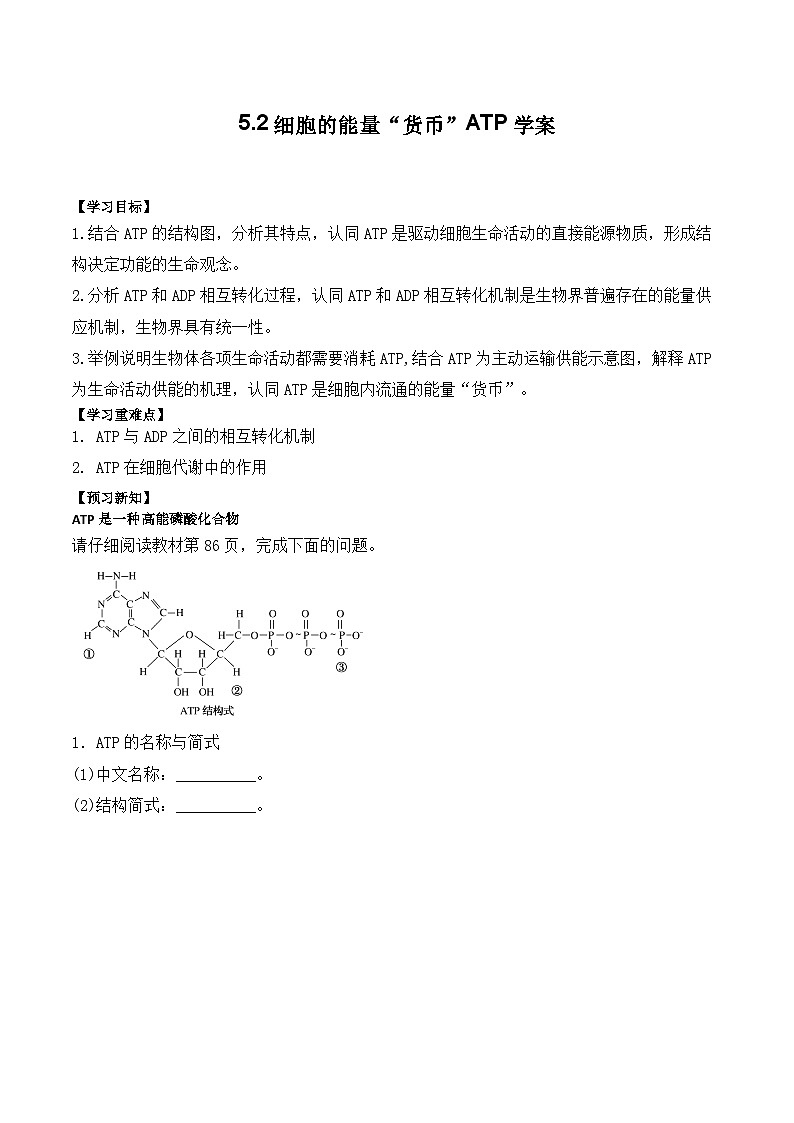 5.2細(xì)胞的能量“貨幣”ATP學(xué)案第1頁(yè)