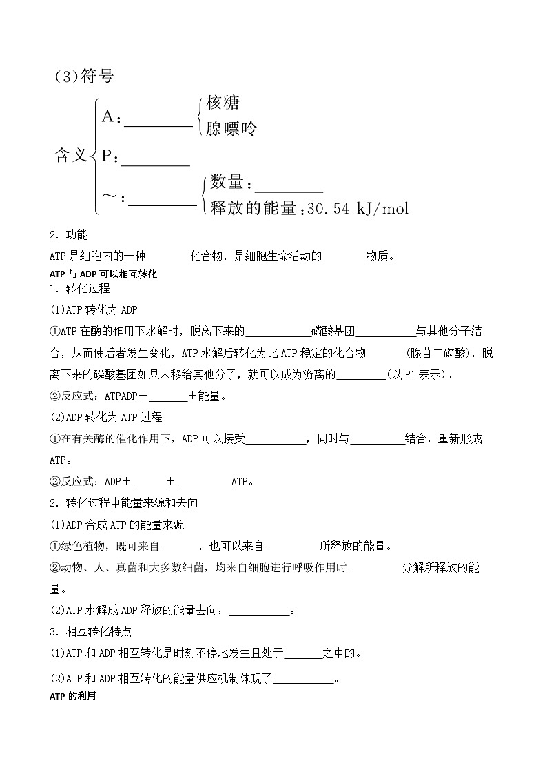 5.2細(xì)胞的能量“貨幣”ATP學(xué)案第2頁(yè)