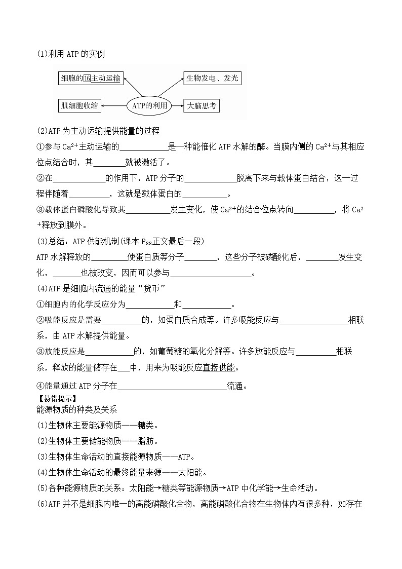 5.2細(xì)胞的能量“貨幣”ATP學(xué)案第3頁(yè)
