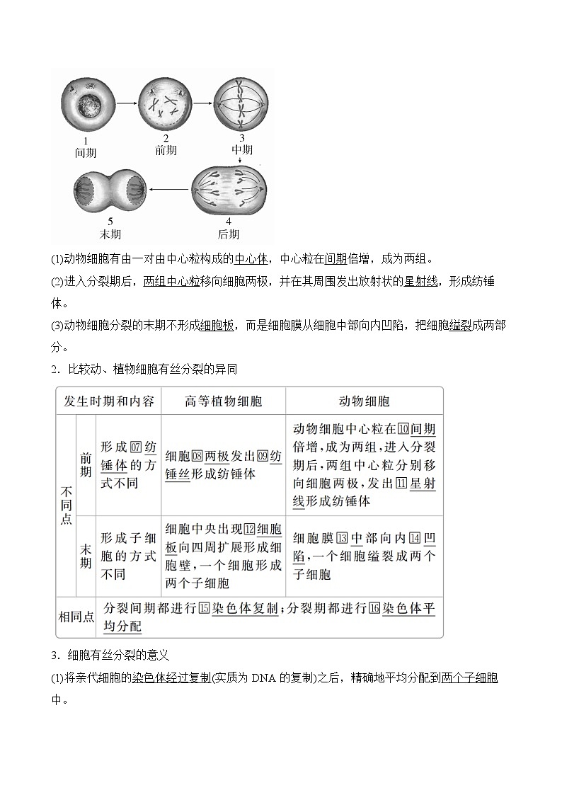 6.1细胞的增殖学案03