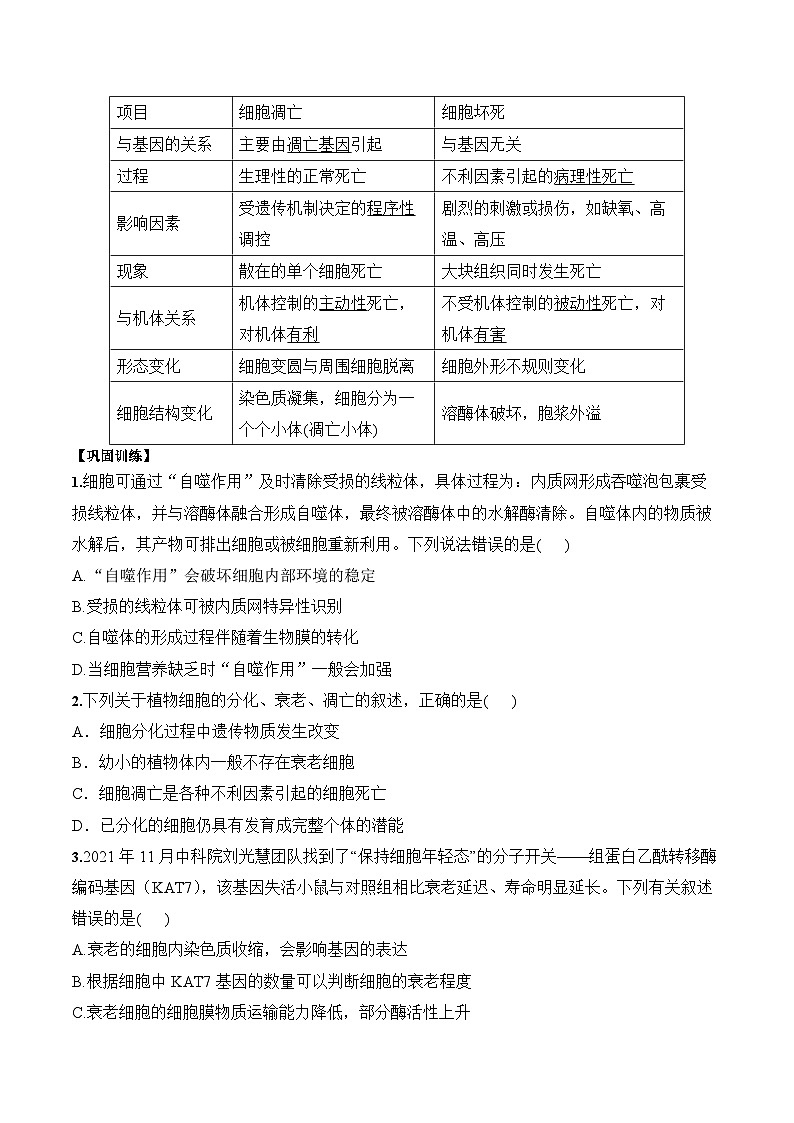 6.3细胞的衰老和死亡学案第3页