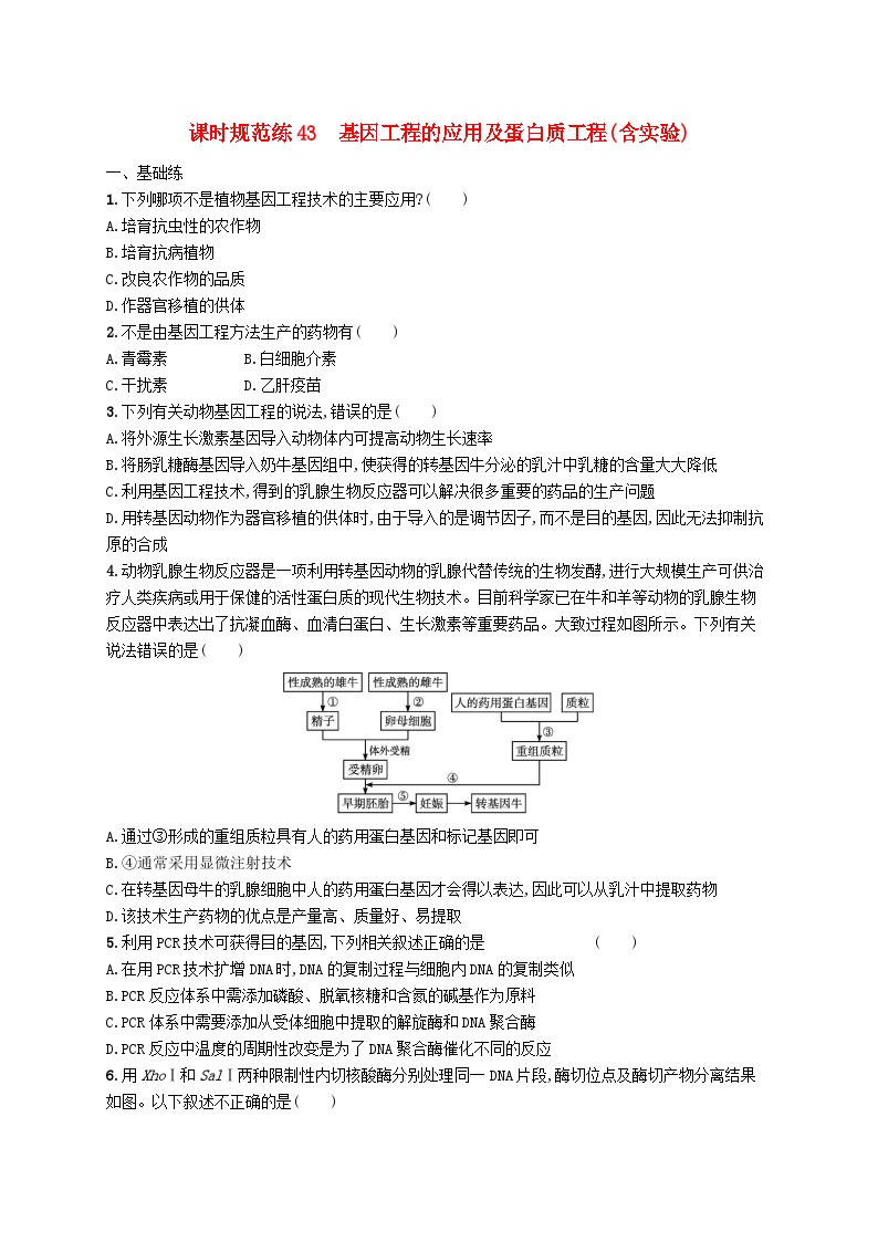 2025届高考生物一轮复习专项练习课时规范练43基因工程的应用及蛋白质工程含实验