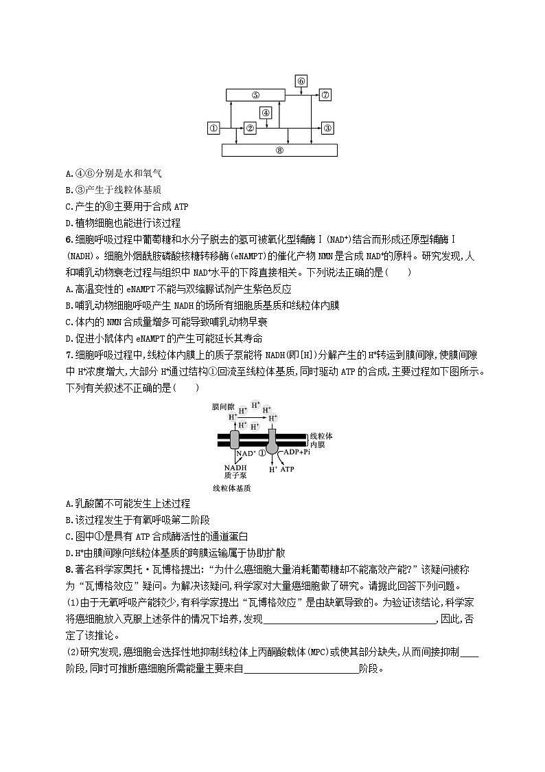 2025届高考生物一轮复习专项练习课时规范练8ATP细胞呼吸的类型及过程第2页