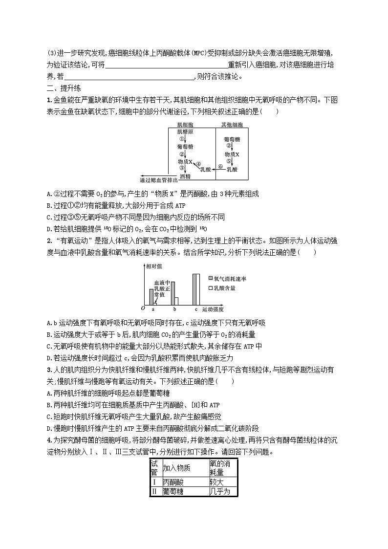 2025届高考生物一轮复习专项练习课时规范练8ATP细胞呼吸的类型及过程第3页