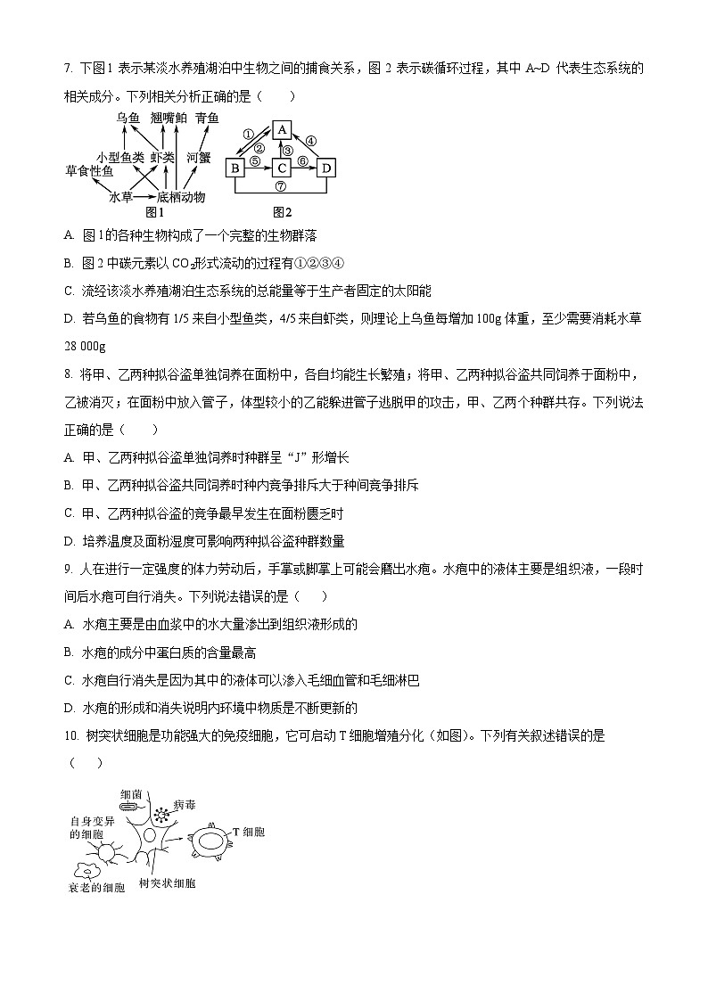 湖北省武汉市部分市级示范高中2023-2024学年高二下学期3月联考生物试卷(Word版附解析)03