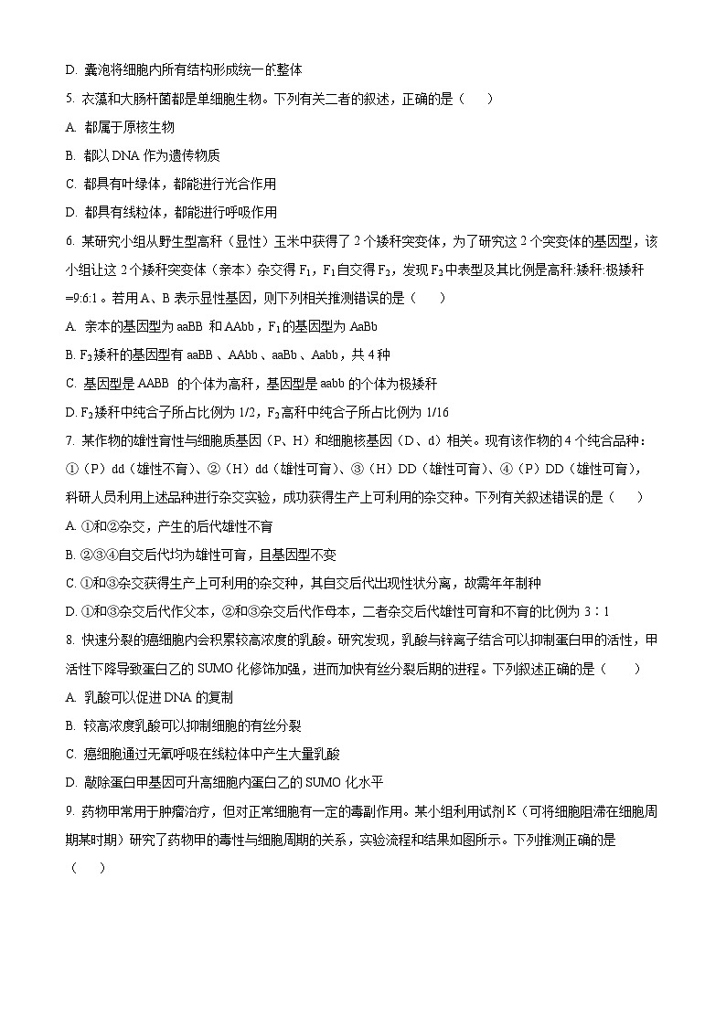 精品解析:安徽省亳州市第五完全中学2023-2024学年高一下学期3月月考生物试题(原卷版)第2页