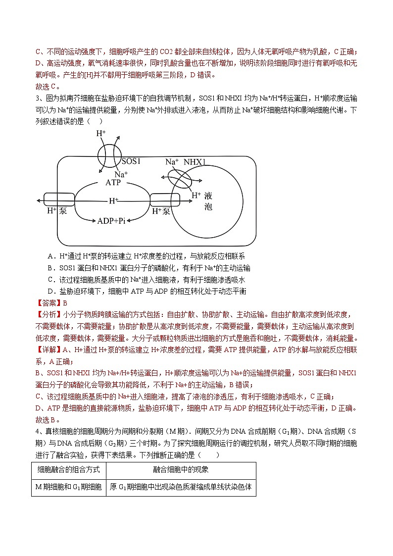 卷03-备战2024年高考生物仿真演练模拟预测卷(安徽卷) Word版含解析第2页