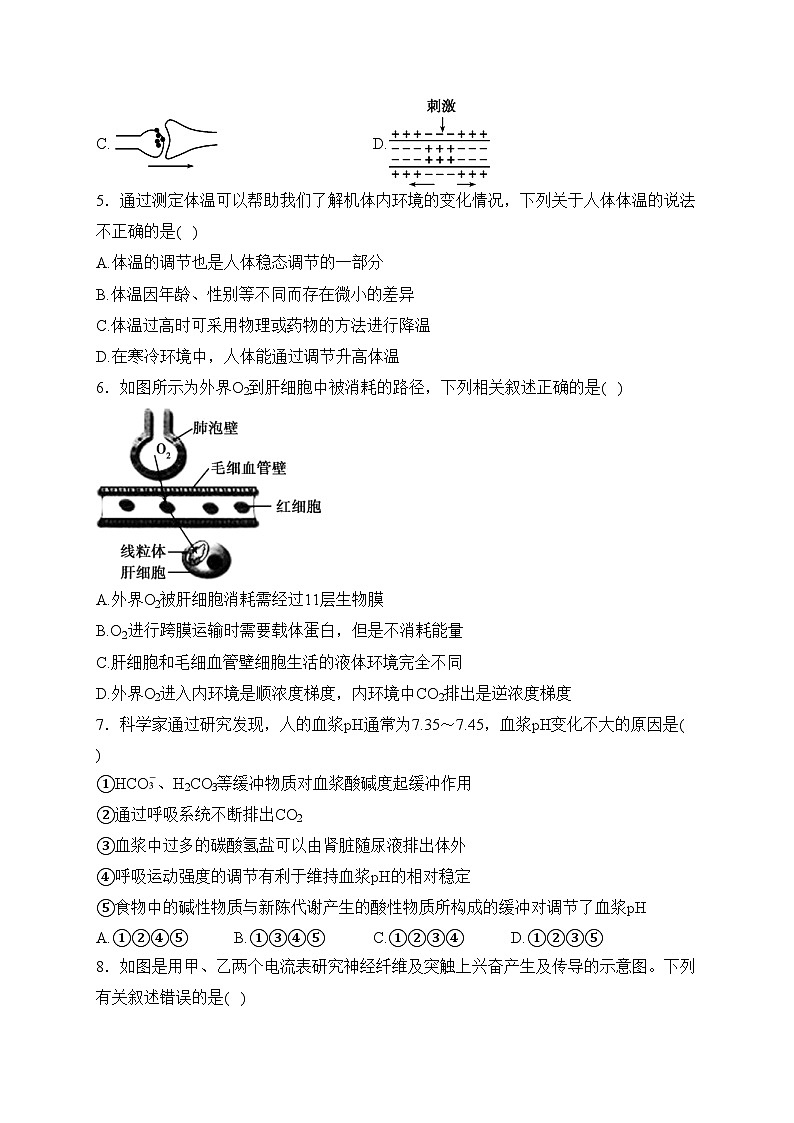 韩城市象山中学2023-2024学年高二上学期10月第一次月考生物试卷(含答案)02