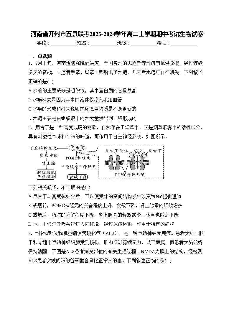 河南省开封市五县联考2023-2024学年高二上学期期中考试生物试卷(含答案)01