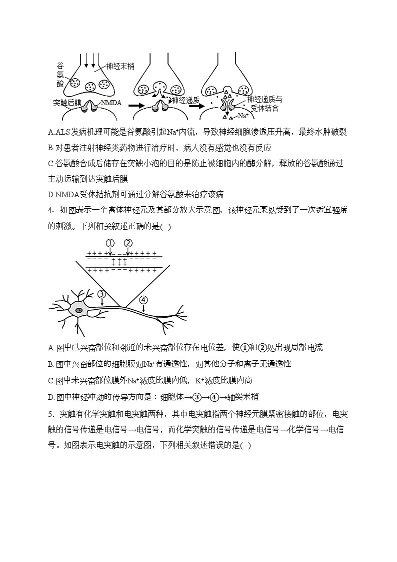 河南省开封市五县联考2023-2024学年高二上学期期中考试生物试卷(含答案)02
