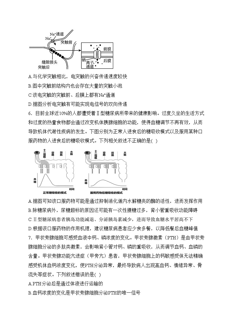 河南省开封市五县联考2023-2024学年高二上学期期中考试生物试卷(含答案)03