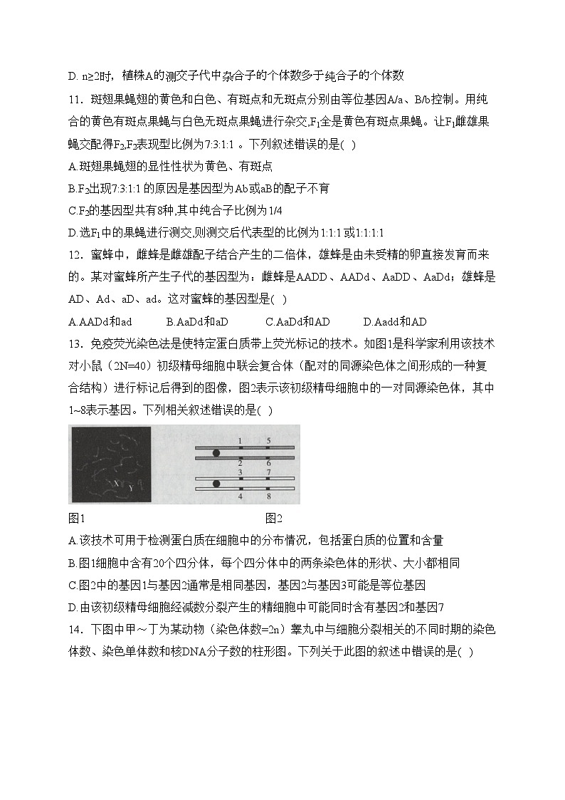 泊头市第一中学2023-2024学年高一下学期3月月考生物试卷(含答案)第3页
