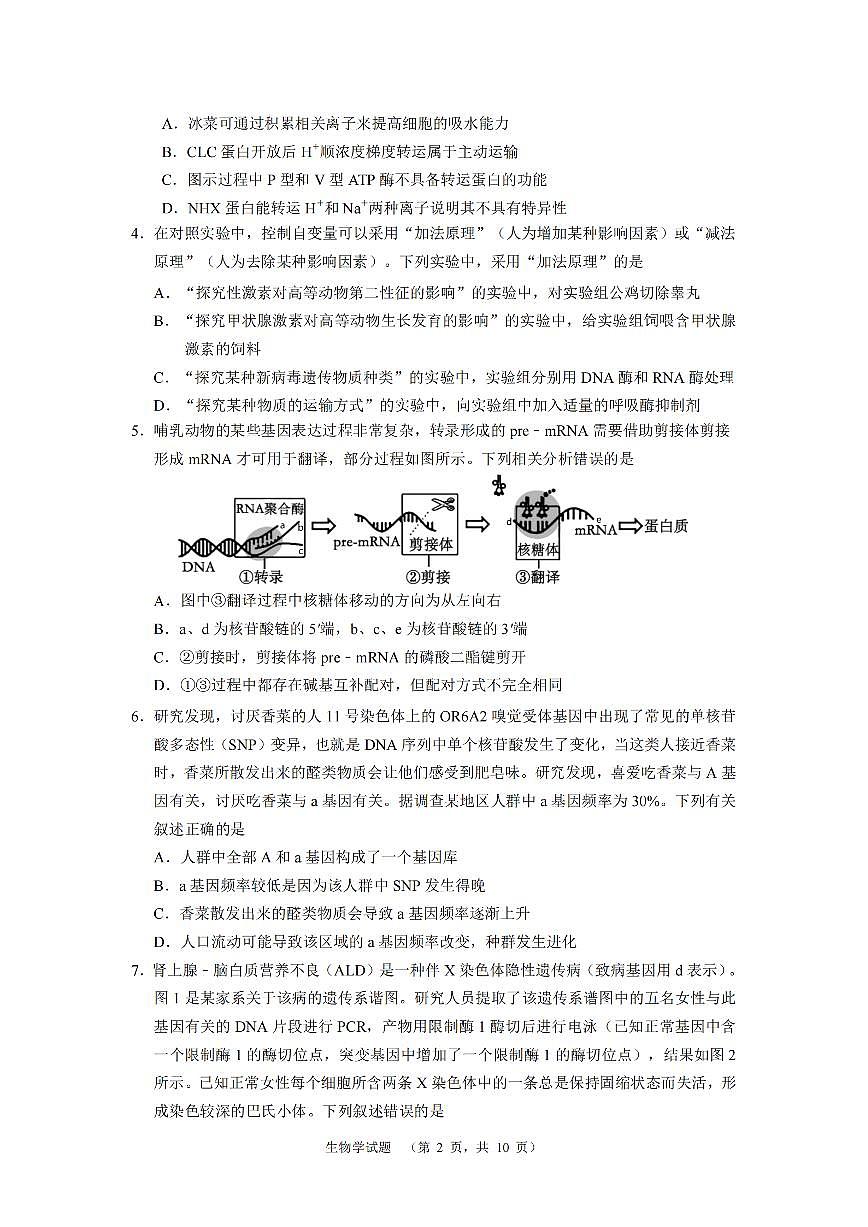 2024屆湖南省長沙市長郡中學(xué)高三高考適應(yīng)性考試（二）生物試題第2頁