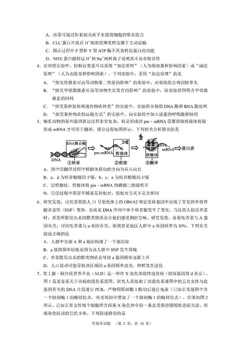 2024届湖南省长沙市长郡中学高三高考适应性考试(二)生物试题02