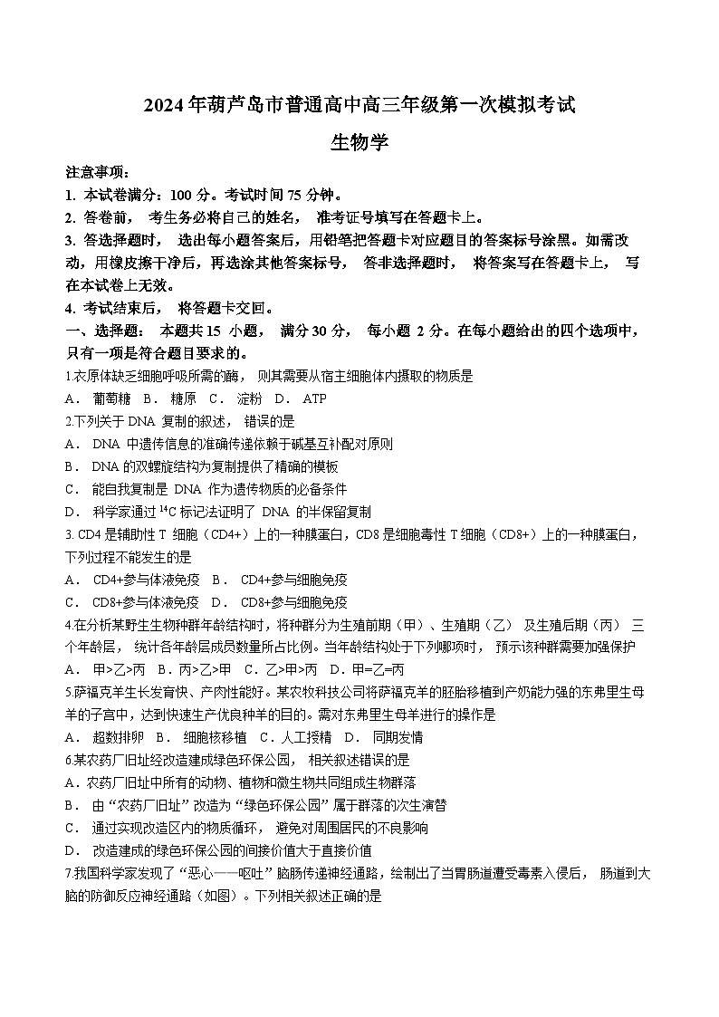 2024屆遼寧省葫蘆島市普通高中高三年級下學期第一次模擬考試生物試卷第1頁