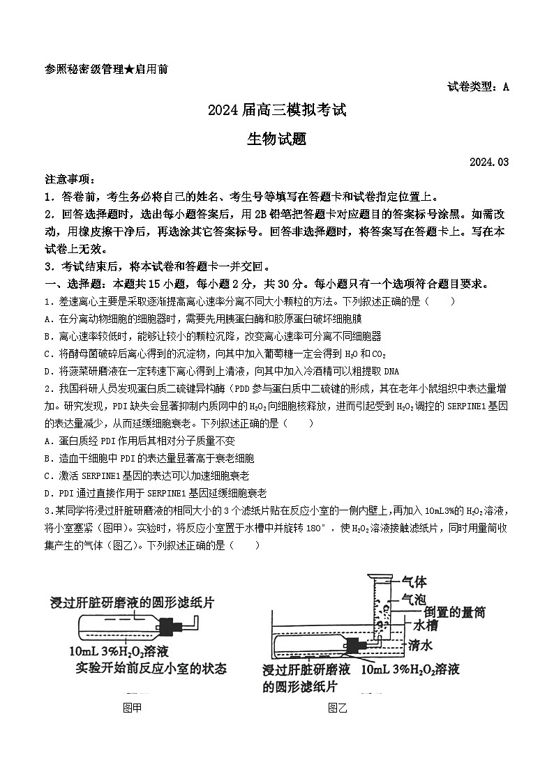 2024届山东省枣庄市高三3月模拟考试生物试题第1页