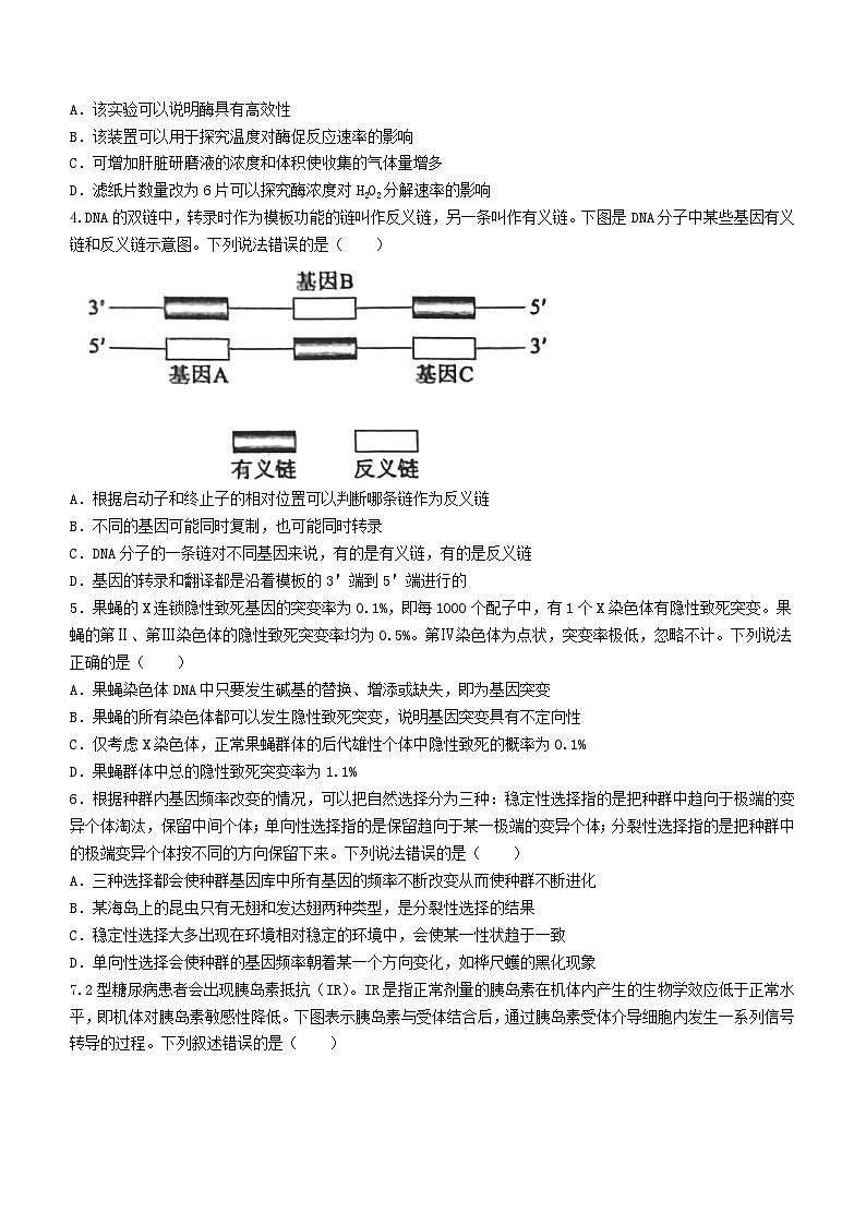 2024届山东省枣庄市高三3月模拟考试生物试题第2页