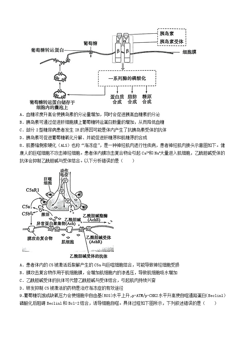 2024届山东省枣庄市高三3月模拟考试生物试题第3页